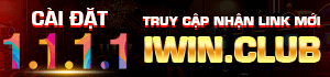 cai_dat_1_1_1_1_de_truy_cap_iwin_khong_bi_chan